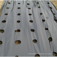 PE Agriculture película de mantillo de plástico negro perforado para invernadero